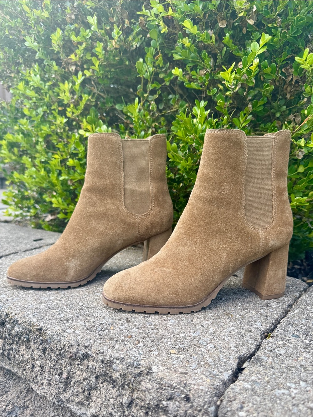 Ann Taylor Suede Block Heel Chelsea Boot - Tan
